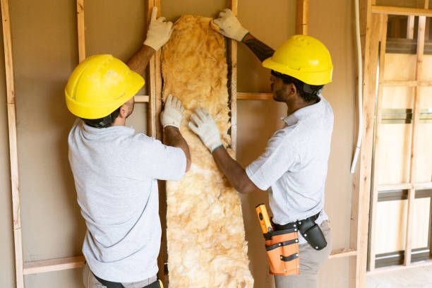 Eco-Friendly or Green Insulation Solutions in Marshall, IL